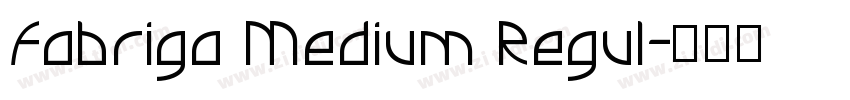 Fabriga Medium Regul字体转换 Fabriga Medium Regul字体转换